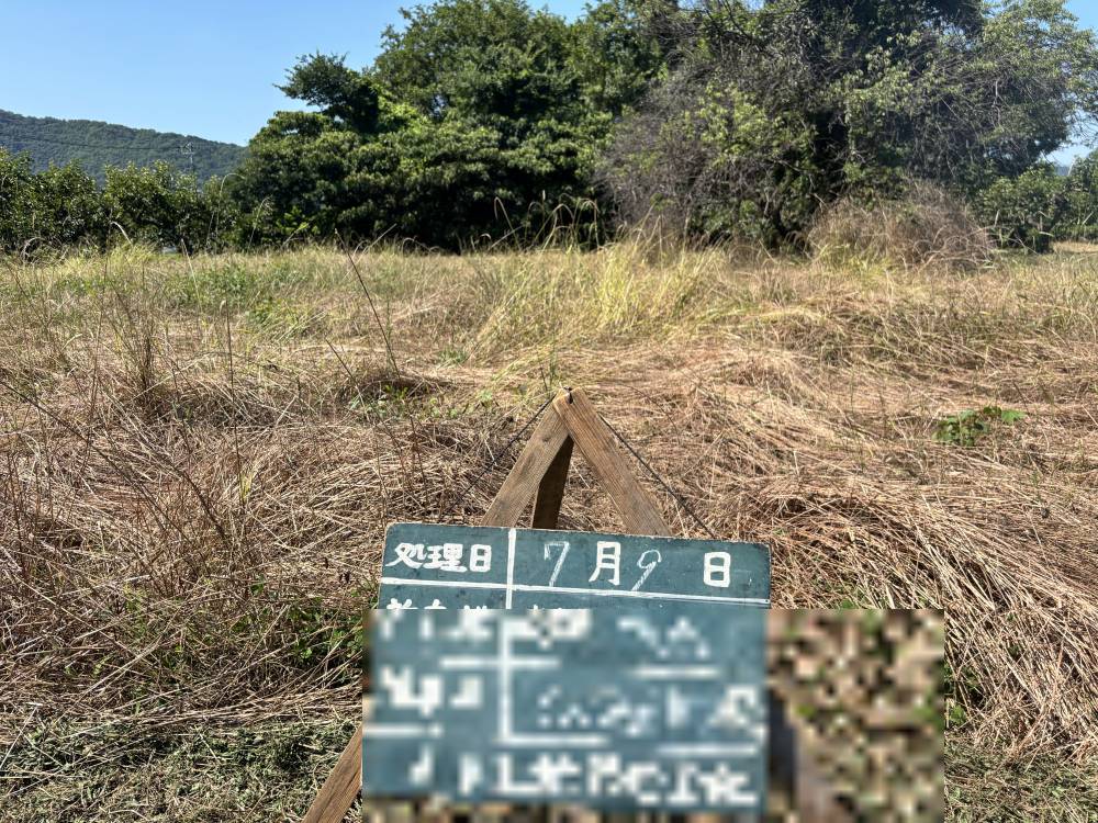 施工事例② 施工前